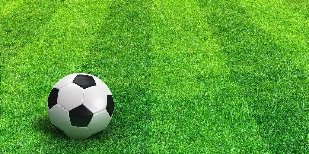 篮球数据研究工具展示